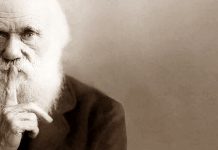 Hablando con Charles Darwin Entrevista a charles Darwin