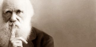 Hablando con Charles Darwin Entrevista a charles Darwin